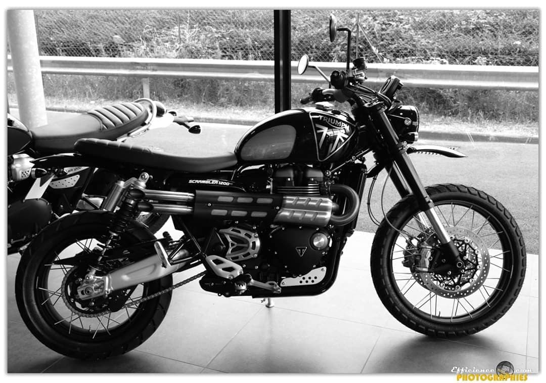 Triumph alu et noir