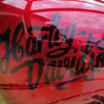 Logo Harley noir brillant et flake